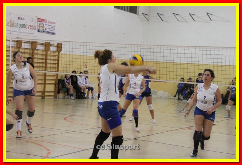 140305 Primula 115_tn.jpg